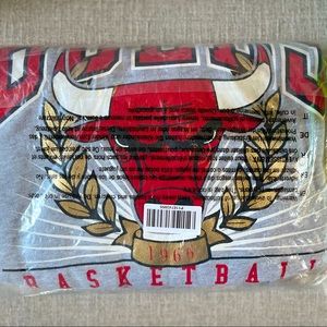 NBA Off The Courts Bulls Cropped Sweatshirt - Heather Grey - Size 1X